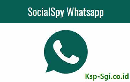 social spy whatsapp apk